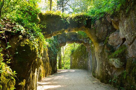 Park at sunny day in Quinta da Regaleira estate in Sintra, Portugal
