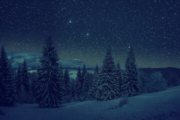Fototapeta na wymiar Night winter landscape with snowy trees