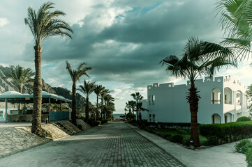 Summer vacation on Red sea shore
