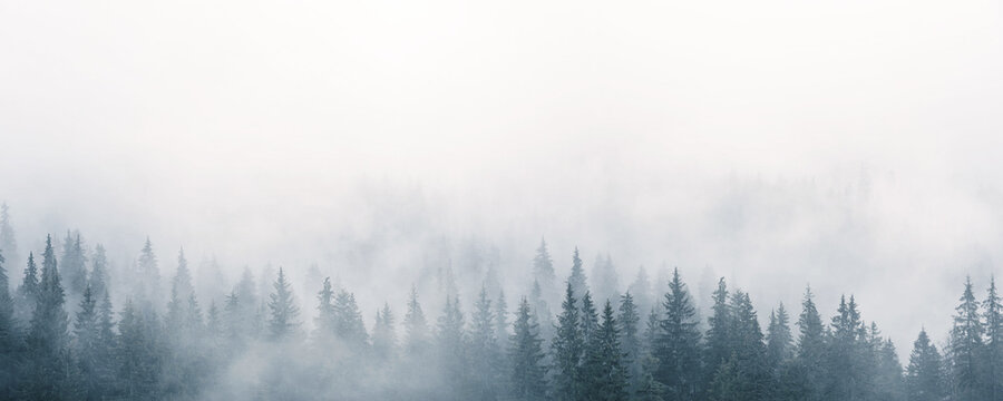 Fototapeta Mystic landscape with fog