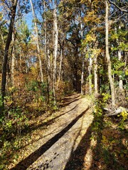 Beautiful path covered in fallen leaves at Beaudry Provincial Park, Manitoba.