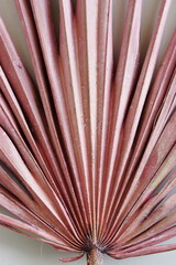 Dry palm leaf texture pink color close up on  background top view. Minimal Plant backdrop.Poster