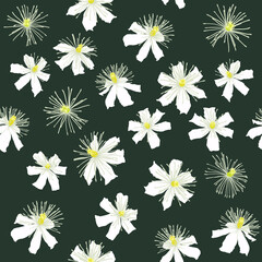 Sweet Autumn Clematis Flower Seamless Pattern. White Petals, Yellow Middles and Dark Green Background  Vector Illustration