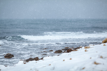 Cold winter sea with snow. Landscape