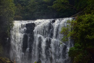 waterfall in the forest