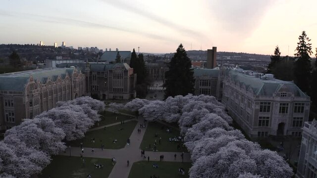 University of Washington, United States