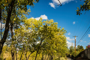 A Scenic Greenbelt