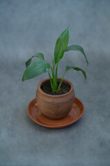 eramics, a ceramic product made with your own hands, made on a potter's wheel, a jug, a mug, clay.      