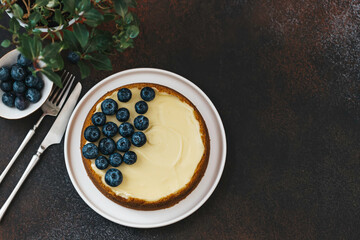 Classical New York cheesecake with blueberries. Homemade baking.