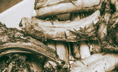 A typical Tuscan dish of pork cooked on the embers, called rosticciana on a white dish