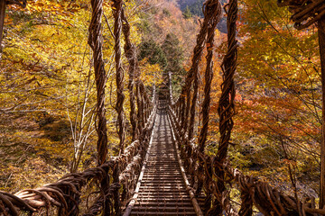 奥祖谷二重かずら橋　紅葉