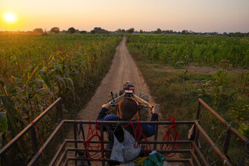 Agriculture farmer driving a small truck tractor