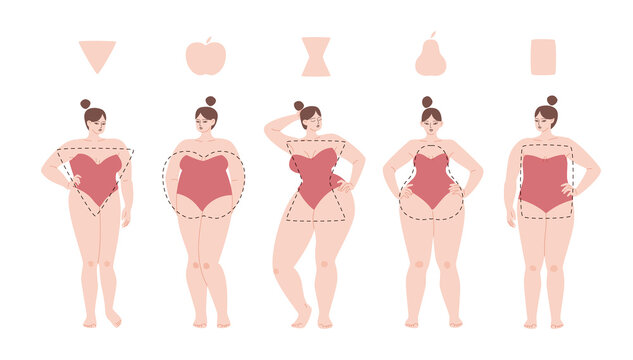 Pretty women are apple, triangle, hourglass and rectangle body types. Diverse women in swimsuits stand in a row. Vector illustration of overweight chubby girls isolated.