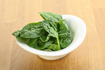Fresh green spinach leaves in the bowl
