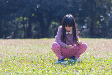 昼の公園でヒヨコと遊んでいる子供の様子