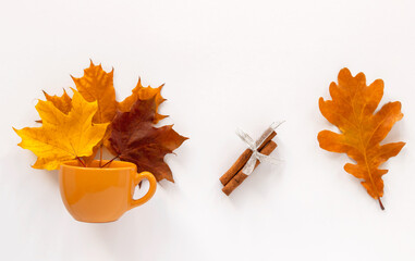 A bouquet of autumn leaves in a ceramic cup and a cinnamon stick on a white background with a place...