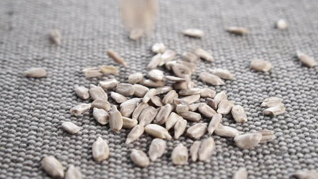 Fresh raw hulled sunflower kernels fall on a gray rustic jute surface in slow motion. Agriculture concept. Close up