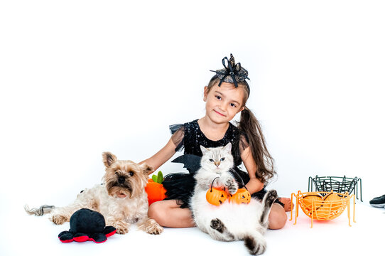 Cute european kid girl in halloween costumes with cat and dog having fun in halloween celebration. Photo on white background