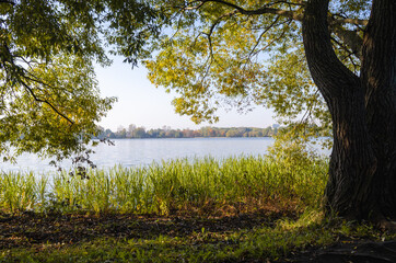 Obraz premium Lake in the forest surrounded by trees. Forest reservoir. Golden autumn near the water. Yellow leaves on the trees.
