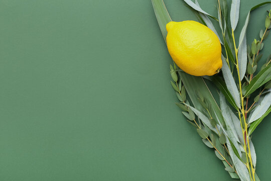 Sukkot festival symbols on color background