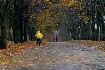 Child rides bicycle in rainy autumn park. Lonely boy rides a bicycle along the autumn alley. Back...