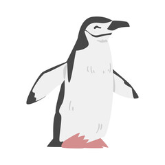 Chinstrap Penguin as Aquatic Flightless Bird with Flippers for Swimming in Standing Pose Vector Illustration