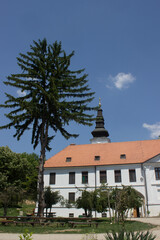 Saint mosaic in Orthodox monastery in Serbian national park Frushka Gora