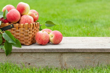 Ripe garden apple fruits in basket
