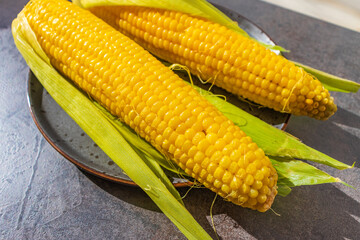 Yellow boiled corn on the cob on a plate