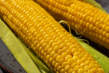 Yellow boiled corn on the cob on a plate
