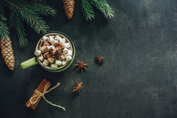 Christmas hot chocolate cup with marshmallow, cinnamon, and star anise on dark chalkboard background
