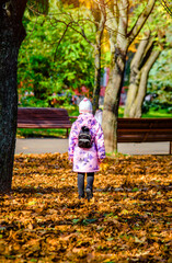 A girl stands among fallen leaves in a city park
