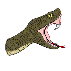 Naklejka premium Viper Head with opened mouth in attack. Vector clipart.