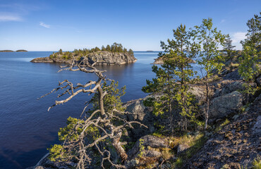 Landscape with a forest on stones over the lake. Sunny day at the lake. Reflection of the sky in the water. Pines on stones. The nature of the north.