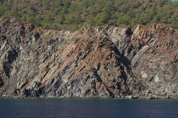 sea,green forest and grey stones