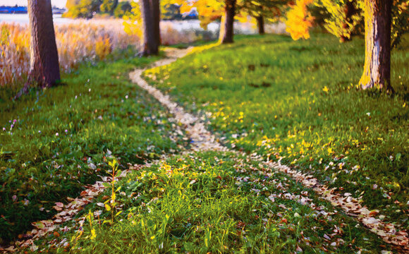 Two Paths, Covered With Fallen Autumn Leaves, Merged Into One Among The Grass And Trees By The River.