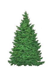 Illustration of Christmas tree isolated on a white