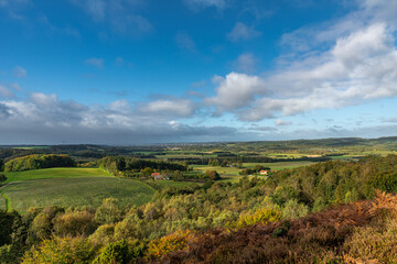 Fototapeta premium Heath area with a height of 92 meters, and with a beautiful view over the Gudenå valley.