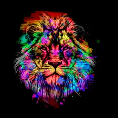 Poster lion head illustration © reznik_val