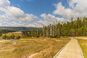 Wooden Walkway at Yellowstone National Park