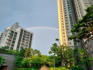 A rainbow that looks pretty between buildings