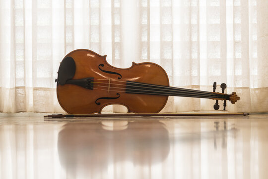 viola musical string instrumen