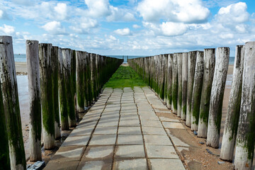 Obraz premium View on wooden poles at white sandy North sea beach near Zoutelande, Zeeland, Netherlands