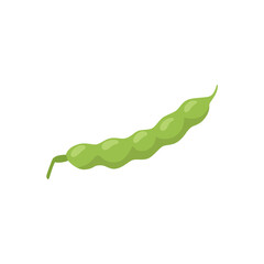 Green fresh young bean or pea pod one isolated on white background. Vector flat cartoon illustration of bean pod for healthy vegetarian food packaging design.