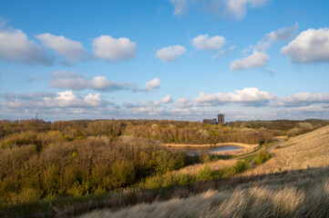 Fototapeta premium Dunes and view on Vlissingen city with sandy beach on sunset