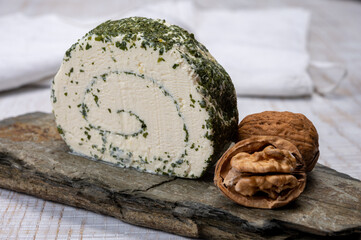 Cheese collection, fresh white soft goat French cheese roll with aromatic herbs and chives