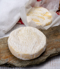 Cheese collection, fresh white soft cow cheese with mold from Swiss
