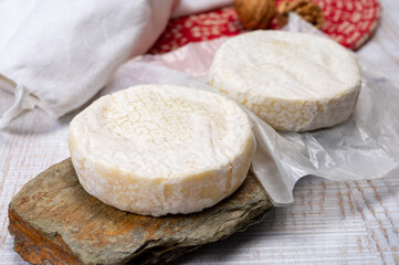 Cheese collection, fresh white soft cow cheese with mold from Swiss