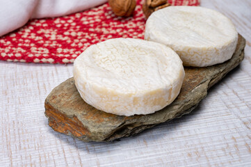 Cheese collection, fresh white soft cow cheese with mold from Swiss