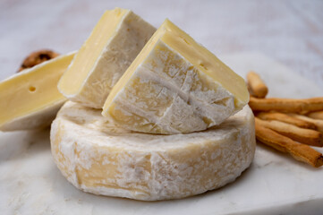 Cheese collection, fresh white soft cow cheese with mold from Swiss